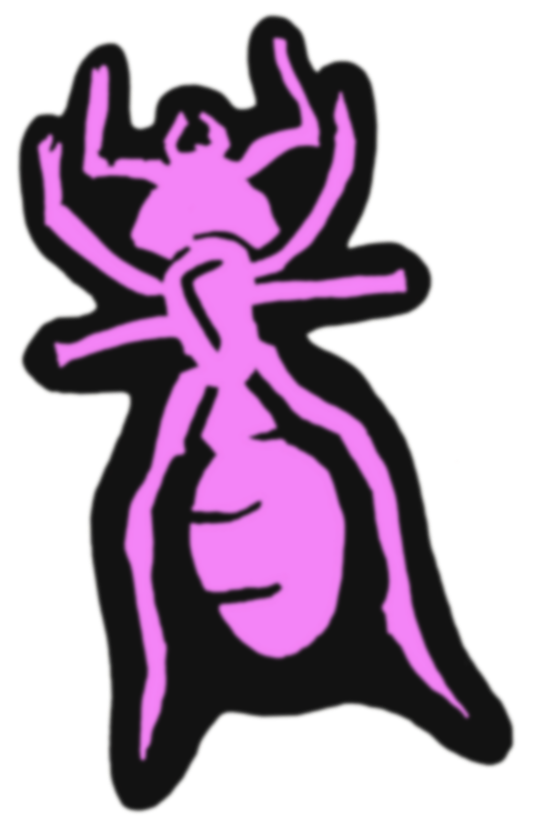 Ant